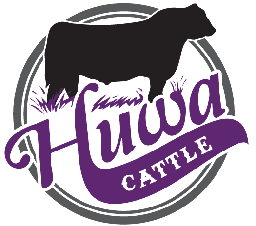 Huwa Cattle